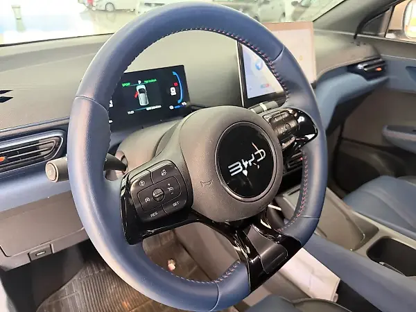 BYD Dolphin Mini - Imagem 15