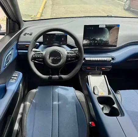 BYD Dolphin Mini - Imagem 10