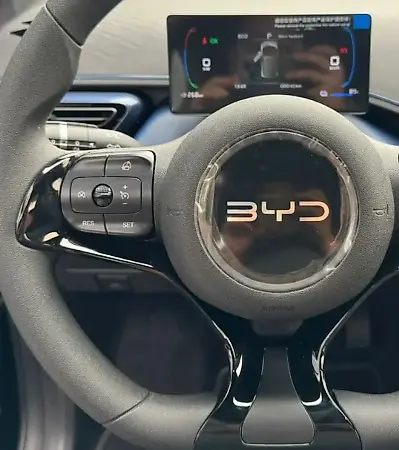 BYD Dolphin Mini - Imagem 17