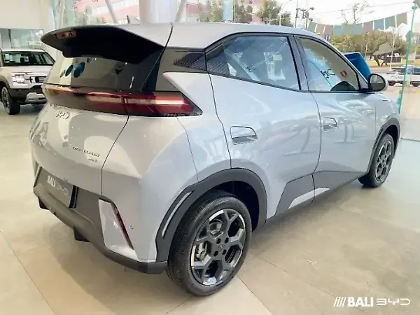 BYD Dolphin Mini - Imagem 2