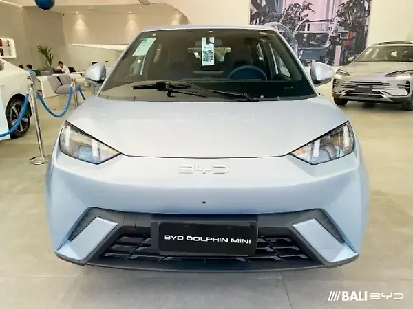BYD Dolphin Mini - Imagem 5