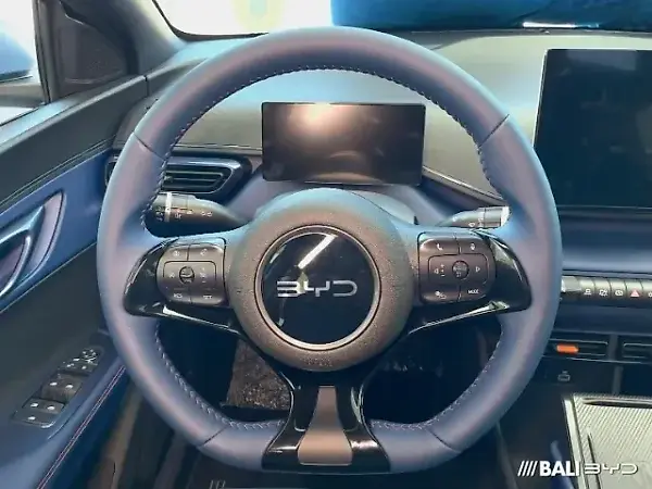 BYD Dolphin Mini - Imagem 6