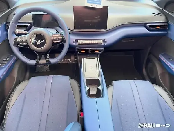 BYD Dolphin Mini - Imagem 7