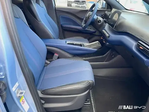 BYD Dolphin Mini - Imagem 8