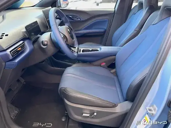 BYD Dolphin Mini - Imagem 9