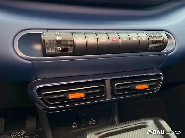 BYD Dolphin Mini - Imagem 11