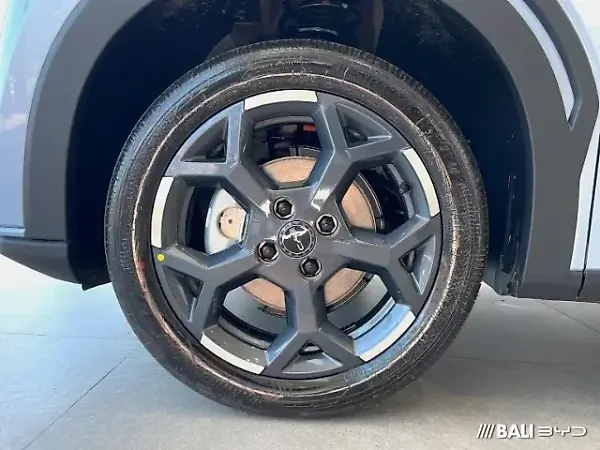 BYD Dolphin Mini - Imagem 12