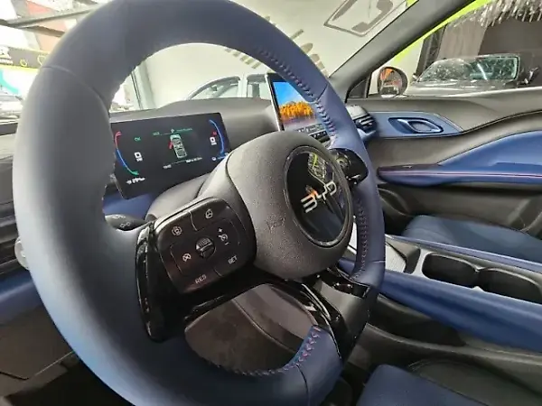 BYD Dolphin Mini - Imagem 10