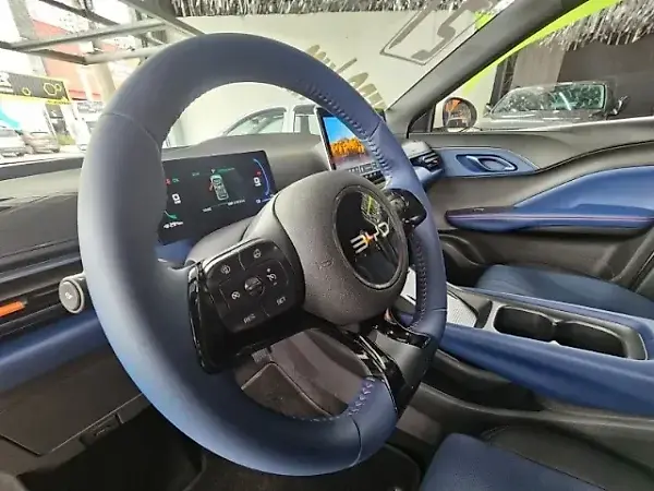 BYD Dolphin Mini - Imagem 15