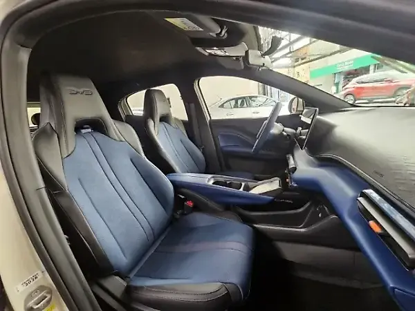 BYD Dolphin Mini - Imagem 18
