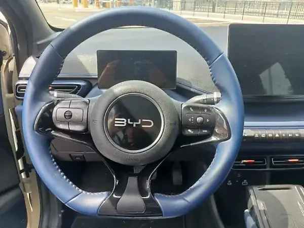 BYD Dolphin Mini - Imagem 19