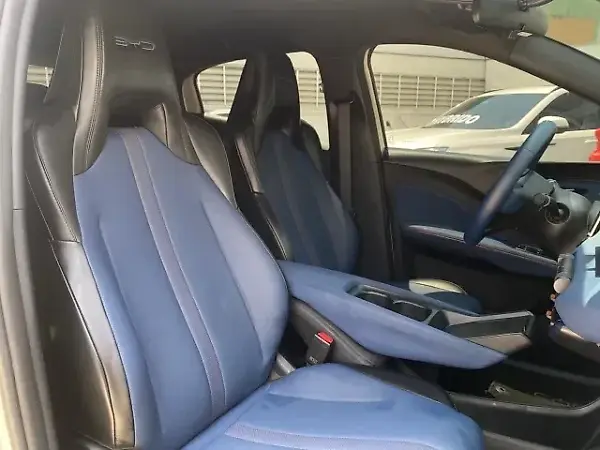 BYD Dolphin Mini - Imagem 9