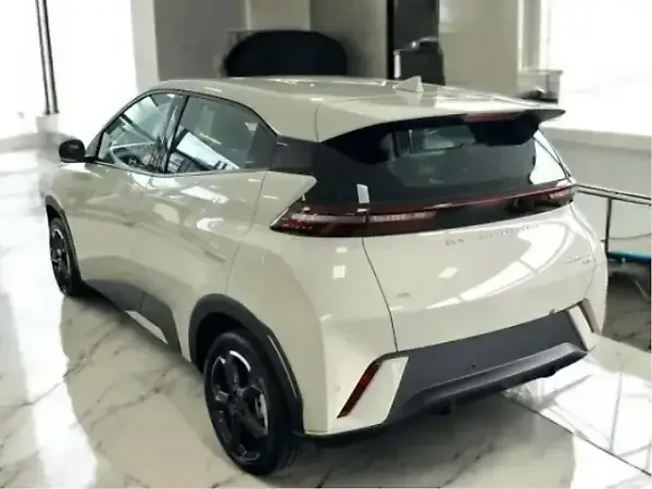 BYD Dolphin Mini - Imagem 10