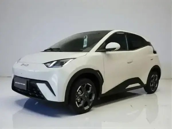 BYD Dolphin Mini - Imagem 3