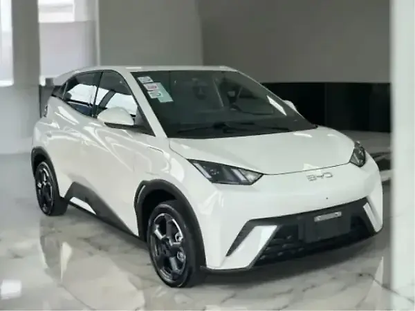 BYD Dolphin Mini - Imagem 9