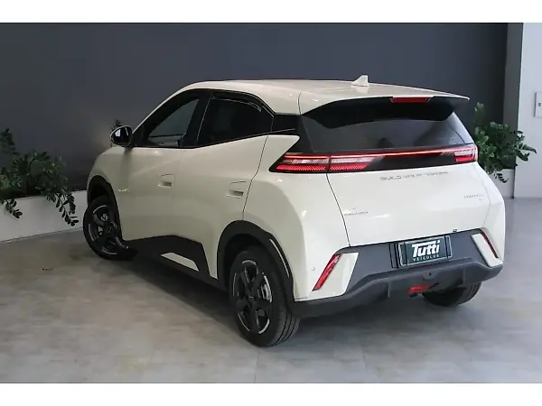 BYD Dolphin Plus - Imagem 3