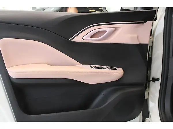 BYD Dolphin Plus - Imagem 6