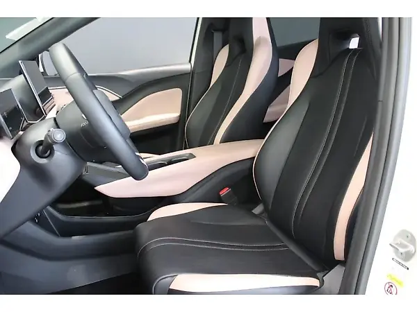 BYD Dolphin Plus - Imagem 11