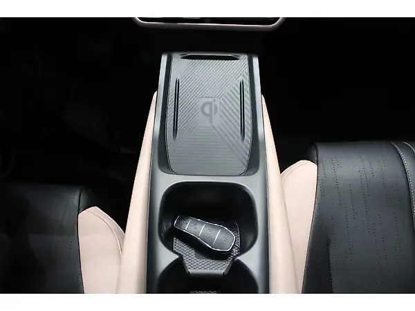BYD Dolphin Plus - Imagem 10