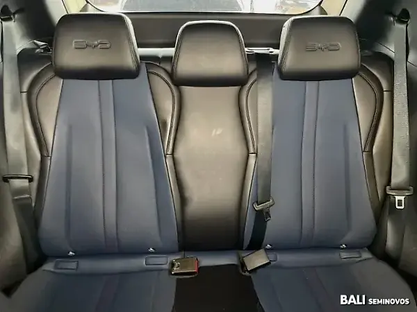 BYD Dolphin Mini - Imagem 3