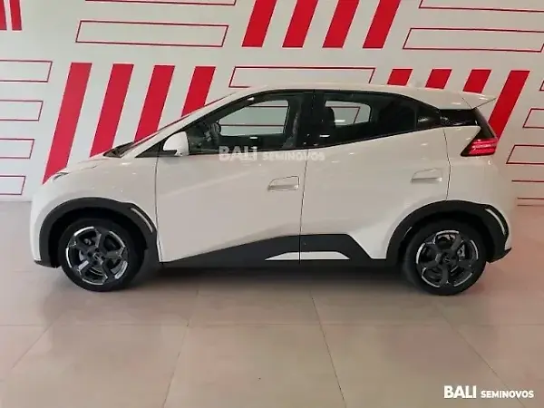 BYD Dolphin Mini - Imagem 8