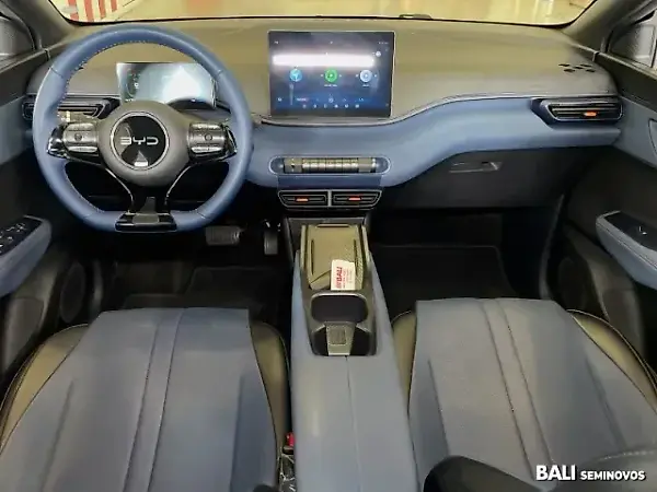 BYD Dolphin Mini - Imagem 10