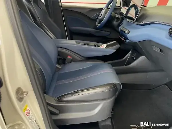 BYD Dolphin Mini - Imagem 14