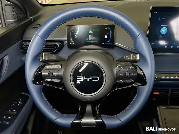 BYD Dolphin Mini - Imagem 13