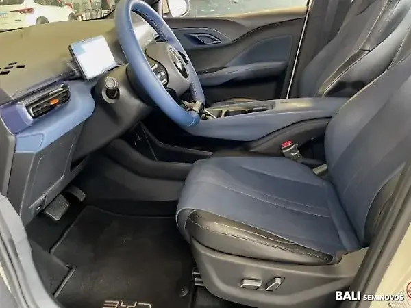 BYD Dolphin Mini - Imagem 15