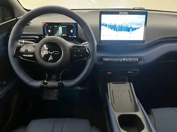 BYD Dolphin Mini - Imagem 11