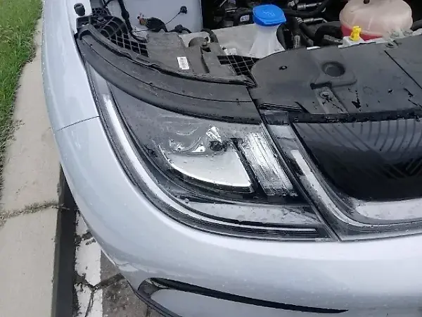 BYD Dolphin Plus - Imagem 2