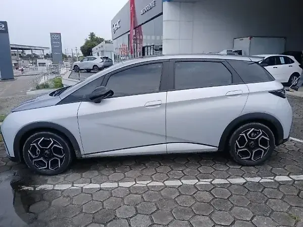 BYD Dolphin Plus - Imagem 12