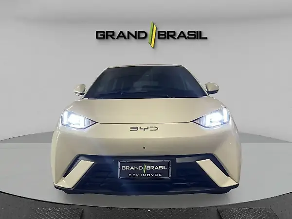 BYD Dolphin Mini - Imagem 8