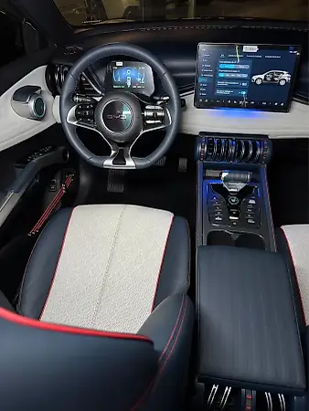 BYD Yuan Plus - Imagem 11