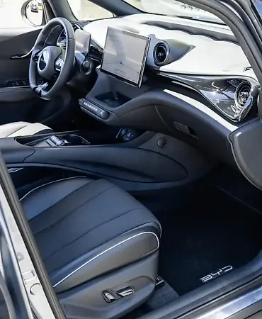 BYD Dolphin Plus - Imagem 13