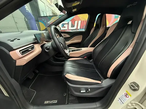BYD Dolphin Mini - Imagem 10