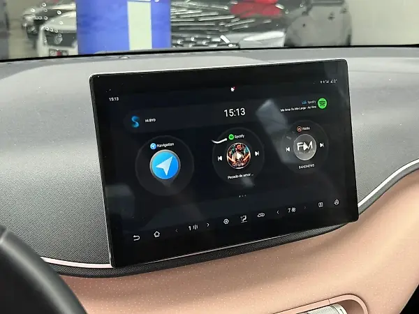 BYD Dolphin Mini - Imagem 13