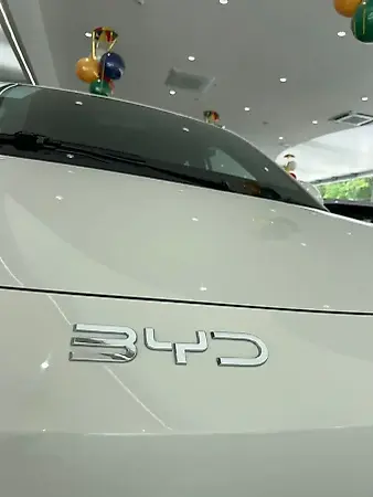 BYD Dolphin Mini - Imagem 4