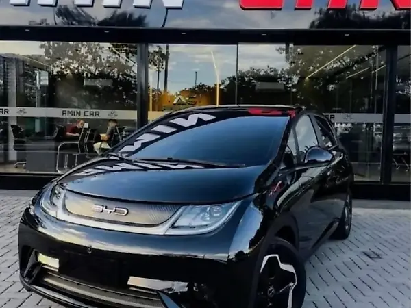 BYD Dolphin - Imagem 2