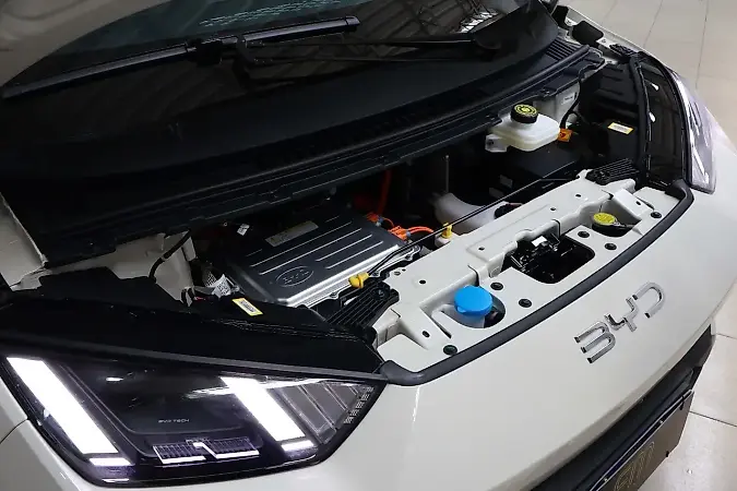 BYD Dolphin Mini - Imagem 18