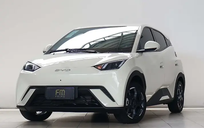 BYD Dolphin Mini - Imagem 1