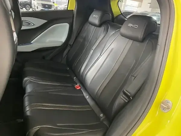 BYD Dolphin Mini - Imagem 12