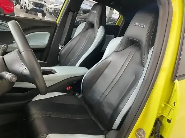 BYD Dolphin Mini - Imagem 11