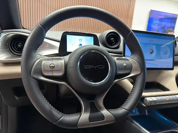 BYD Dolphin - Imagem 10