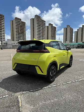 BYD Dolphin Mini - Imagem 12