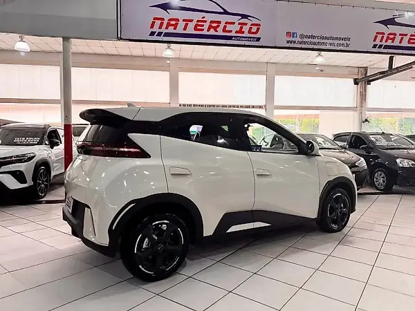 BYD Dolphin Mini - Imagem 14