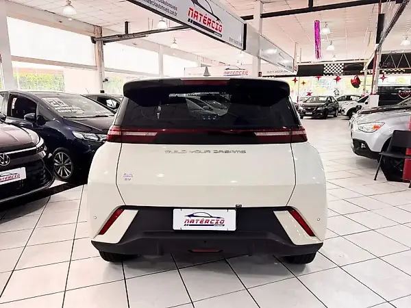BYD Dolphin Mini - Imagem 13