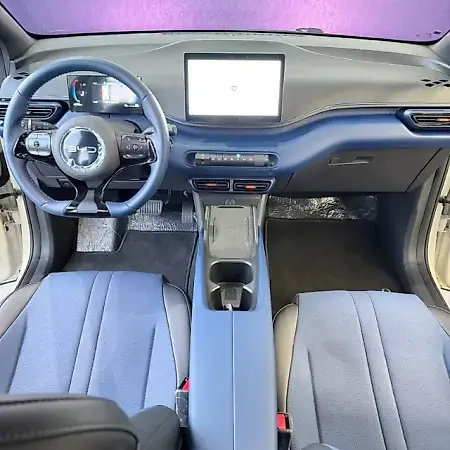 BYD Dolphin Mini - Imagem 7