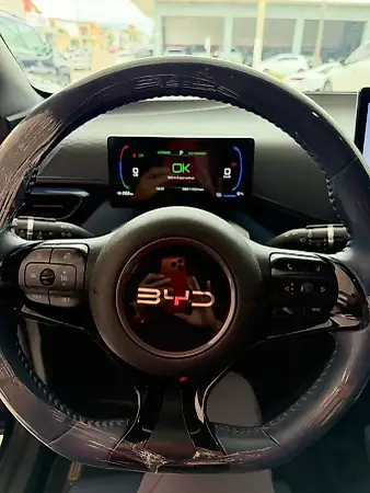 BYD Dolphin Mini - Imagem 7