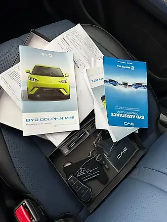 BYD Dolphin Mini - Imagem 10